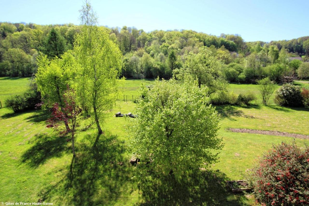 Bed and Breakfast Au Fil Du Temps Fougerolles-Saint-Valbert Zewnętrze zdjęcie
